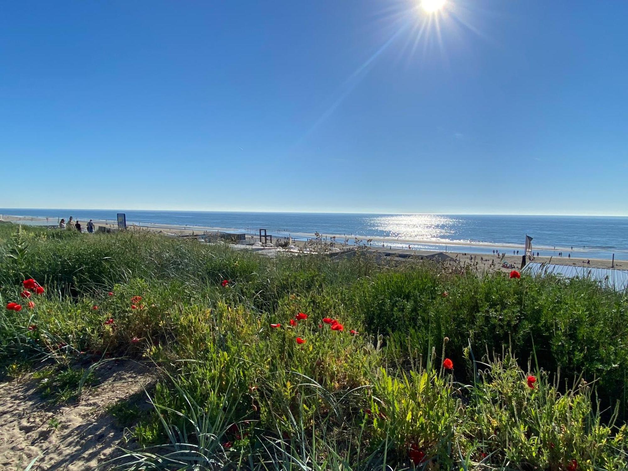 Maison Rue De La Mer Zandvoort Ngoại thất bức ảnh